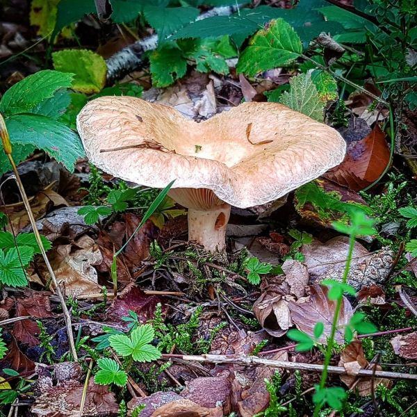 Insta-Foto aus 23.3002