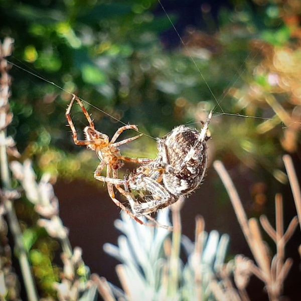 Insta-Foto aus 45.1445