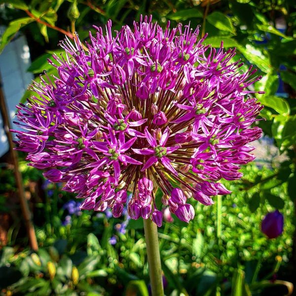 Insta-Foto aus 44.1405