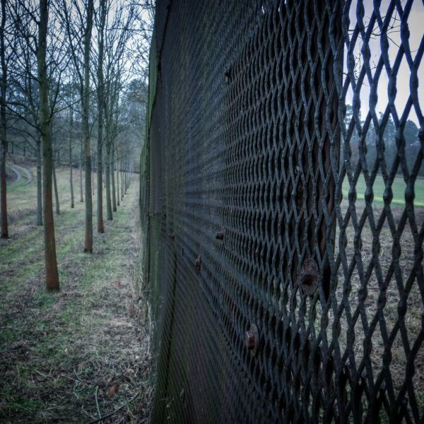 Insta-Foto aus 00.9745