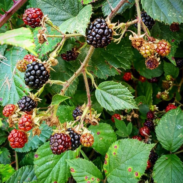 Insta-Foto aus 52.1654