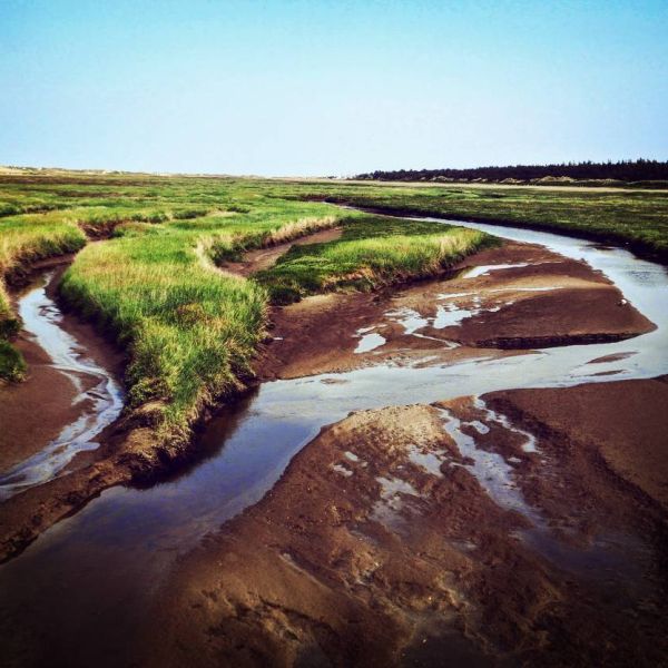 Insta-Foto aus 04.1714