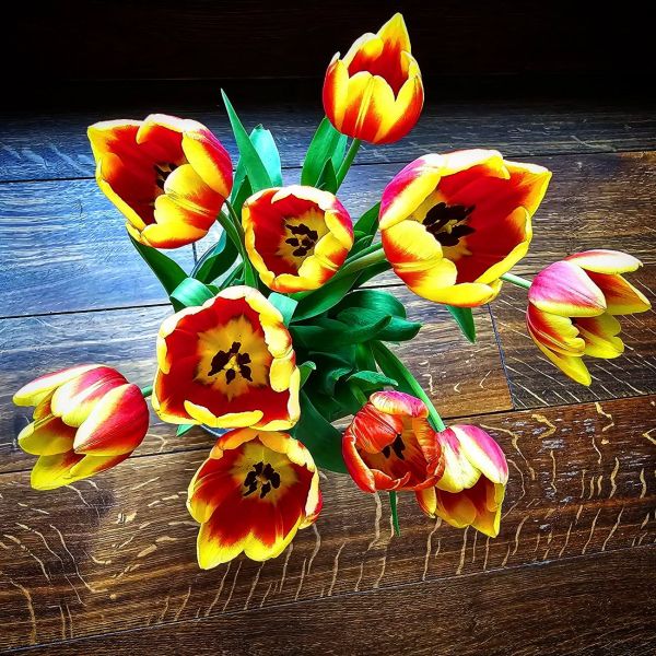 Insta-Foto aus 49.5515