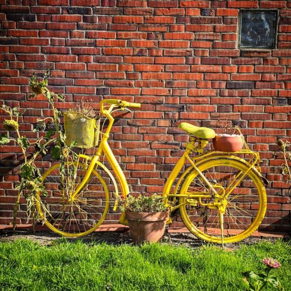 Insta-Foto aus 64.8956