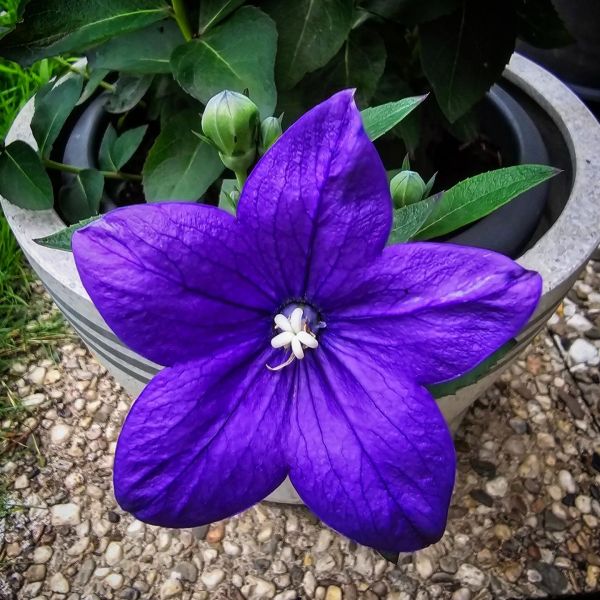 Insta-Foto aus 32.1004