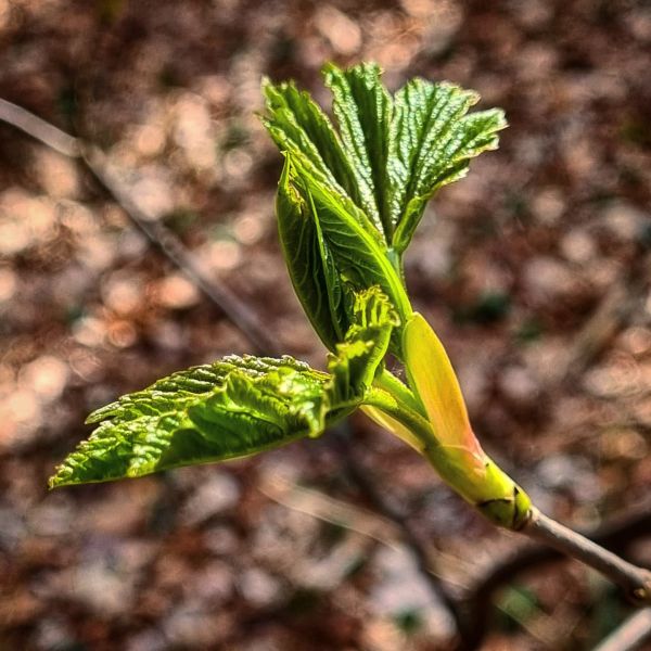 Insta-Foto aus 57.4834