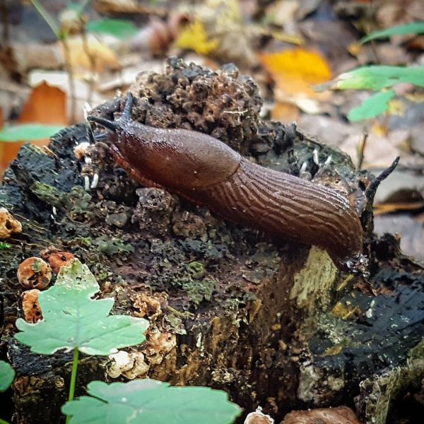 Insta-Foto aus 48.2158