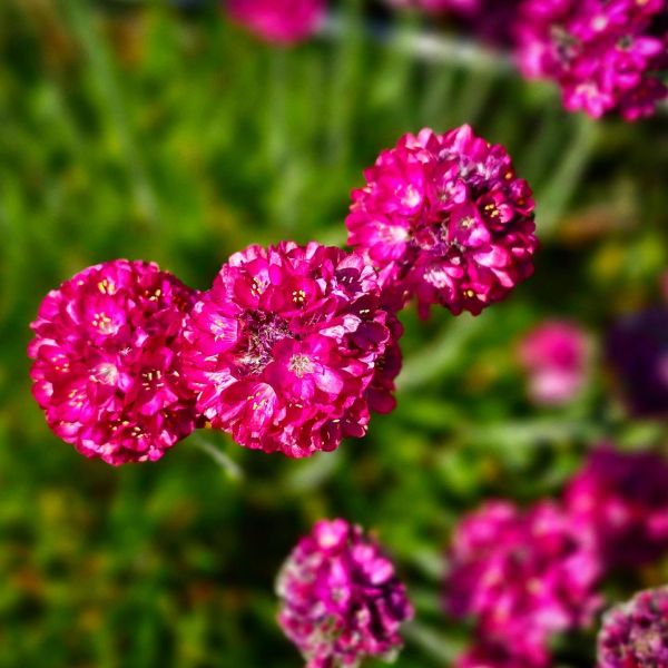 Insta-Foto aus 48.6658