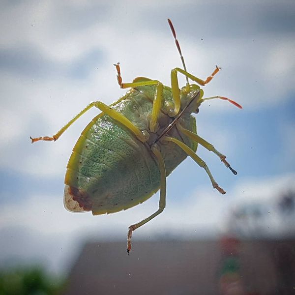 Insta-Foto aus 94.2354