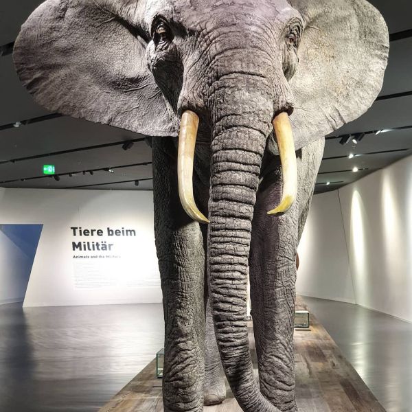 Insta-Foto aus 00.1204