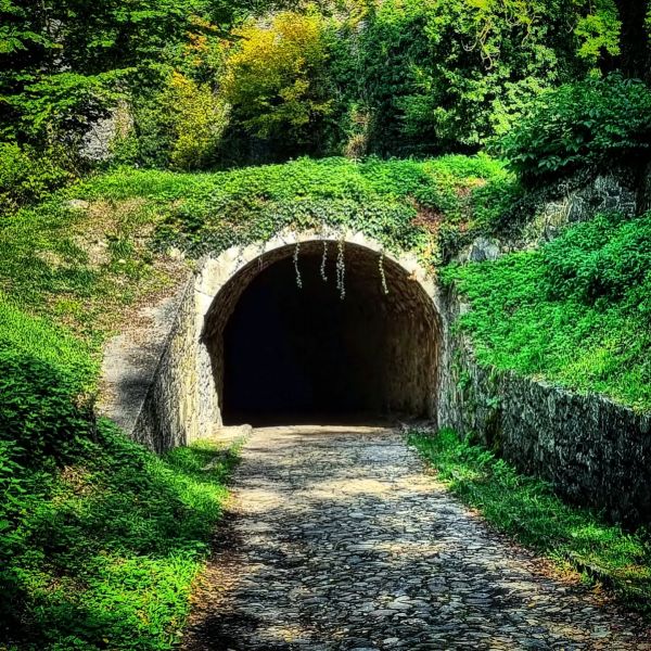 Insta-Foto aus 49.4510