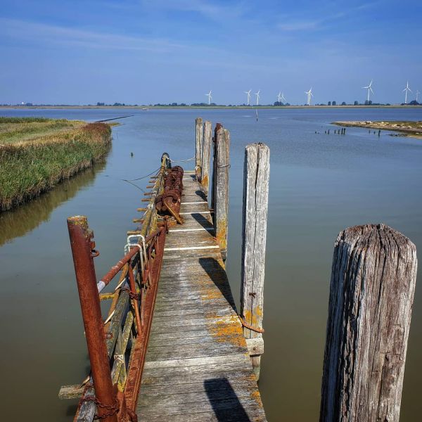 Insta-Foto aus 08.4556