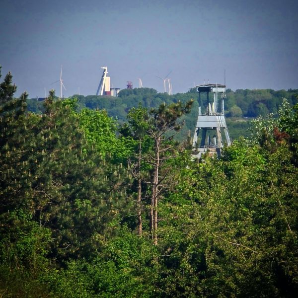 Insta-Foto aus 98.1849