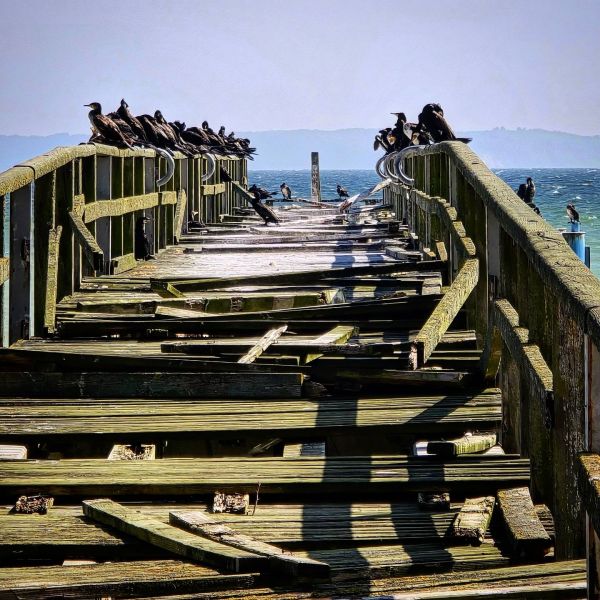 Insta-Foto aus 68.7664