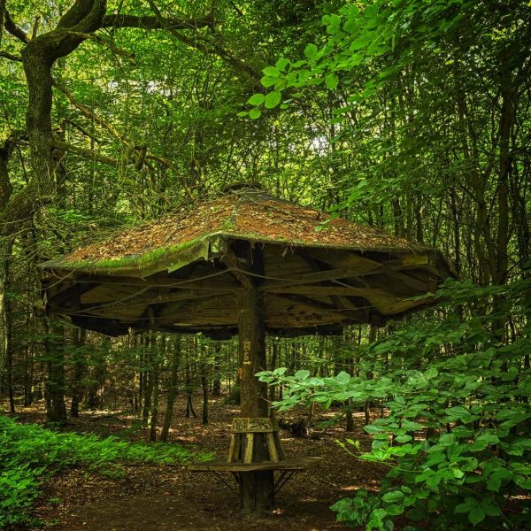 Insta-Foto aus 86.4533