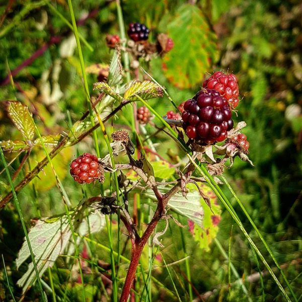 Insta-Foto aus 41.1735