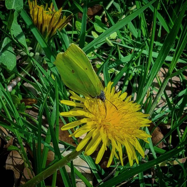 Insta-Foto aus 41.1240