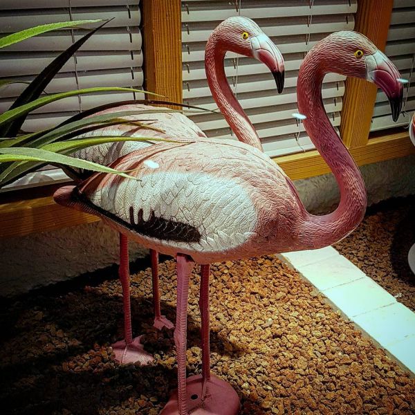 Insta-Foto aus 25.5476