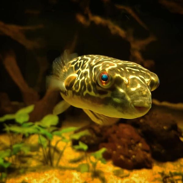 Insta-Foto aus 26.1357