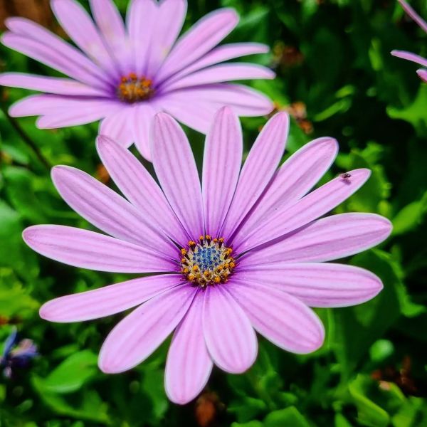 Insta-Foto aus 89.1100