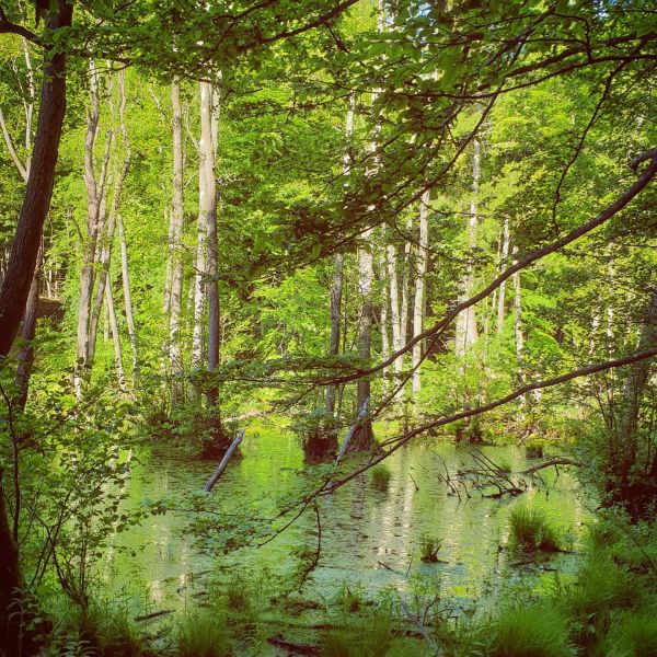 Insta-Foto aus 85.2533