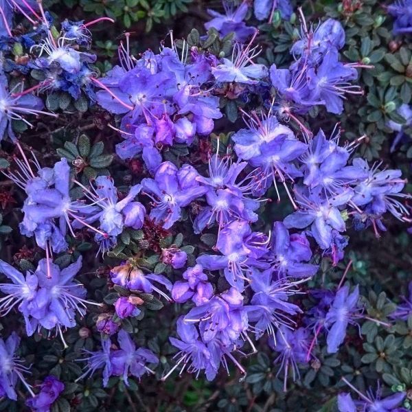 Insta-Foto aus 80.1187