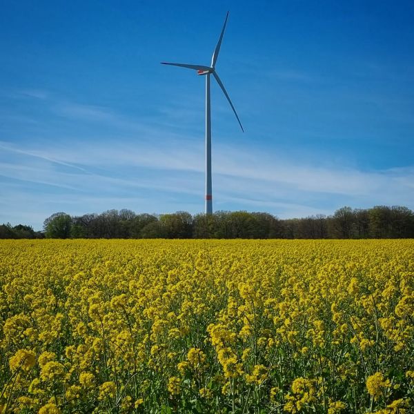 Insta-Foto aus 98.5465