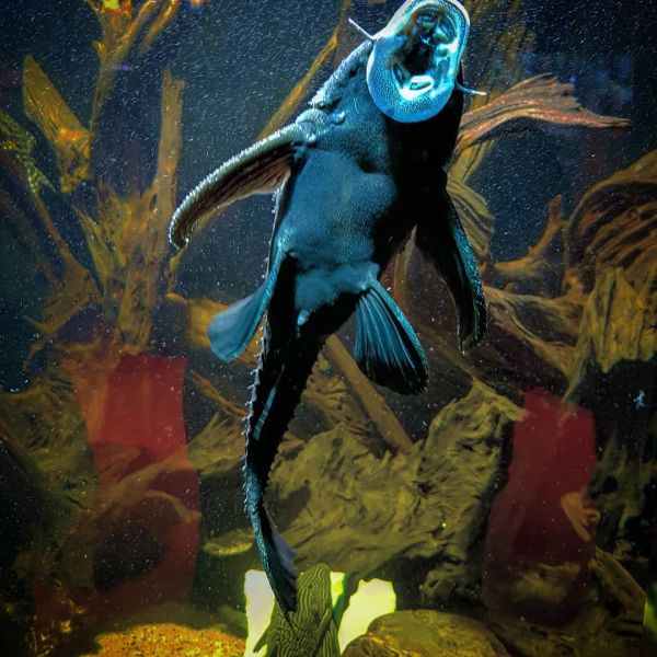 Insta-Foto aus 77.1098