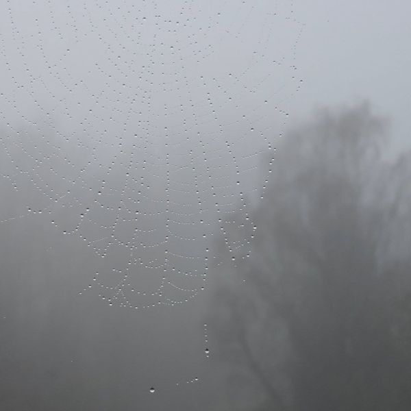 Insta-Foto aus 00.1848