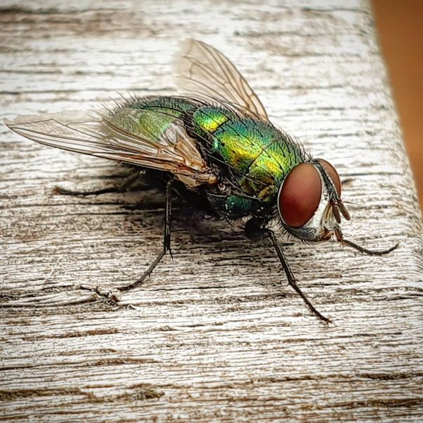 Insta-Foto aus 13.7620