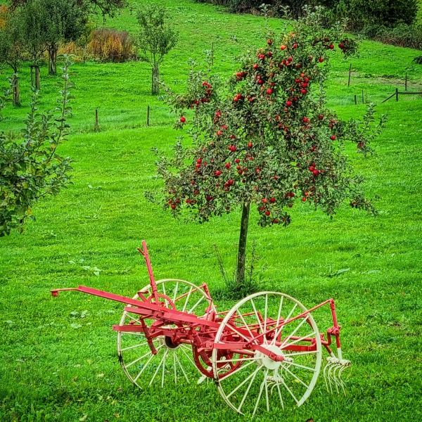 Insta-Foto aus 02.3183