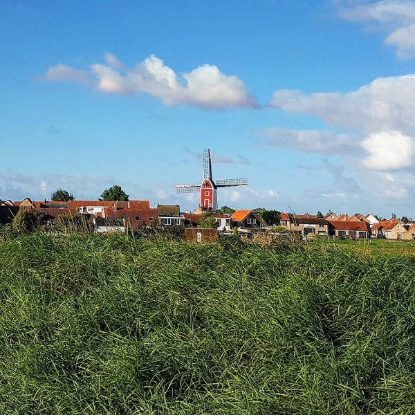 Insta-Foto aus 49.1164