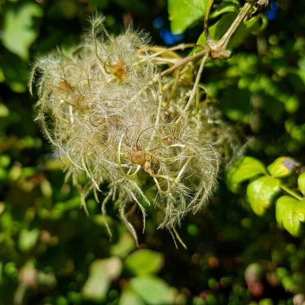 Insta-Foto aus 20.1455