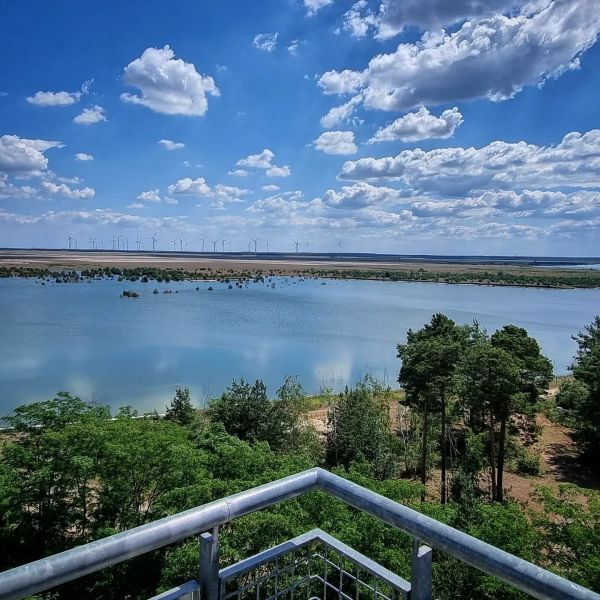 Insta-Foto aus 01.1743