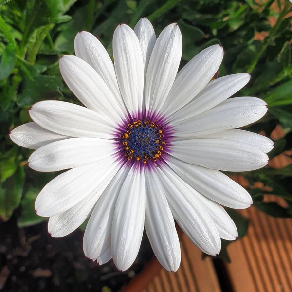 Insta-Foto aus 34.1431