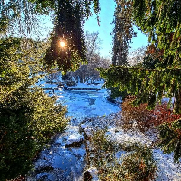 Insta-Foto aus 43.2082