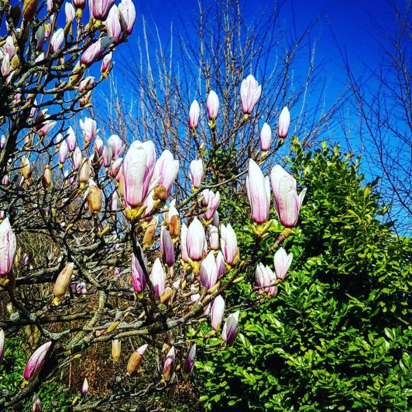 Insta-Foto aus 03.6346