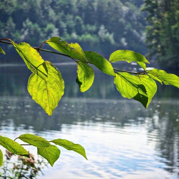 Insta-Foto aus 91.1421