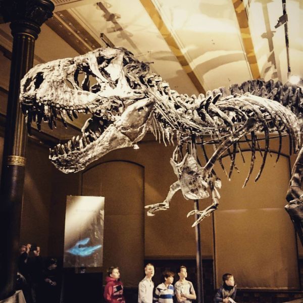 Insta-Foto aus 62.6914