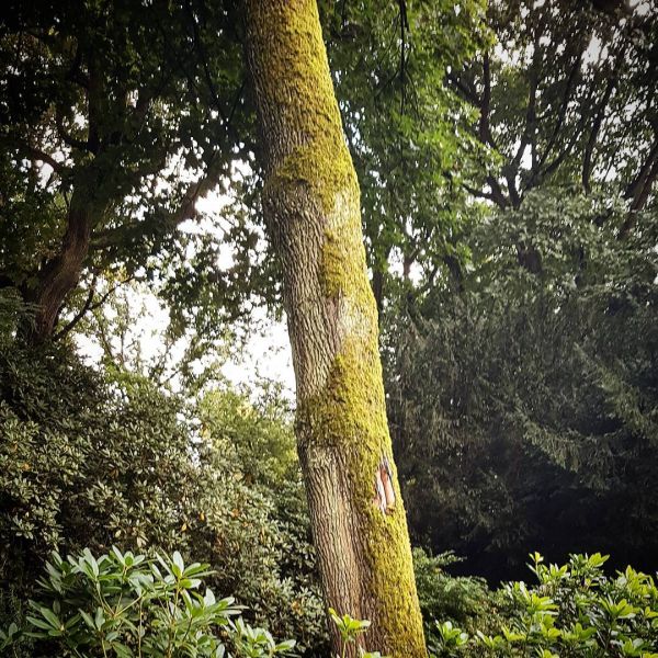 Insta-Foto aus 44.1653