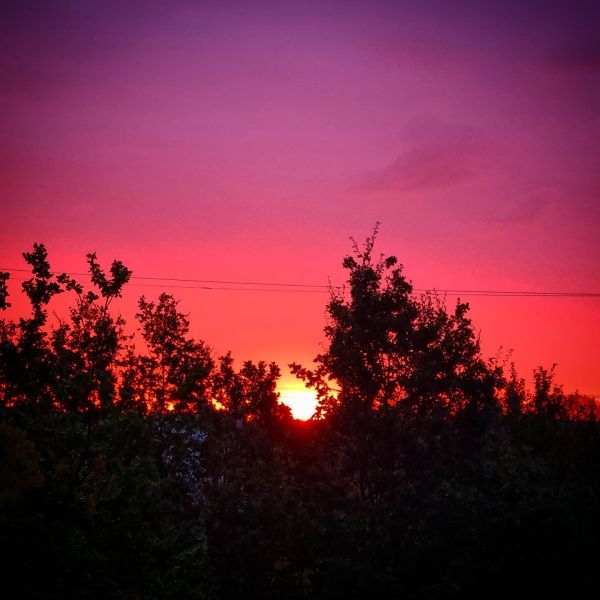 Insta-Foto aus 65.5969