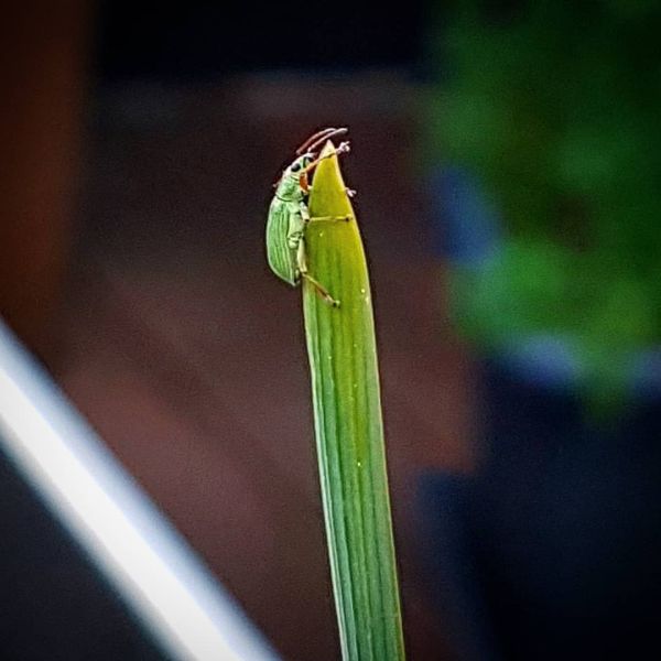 Insta-Foto aus 84.1795