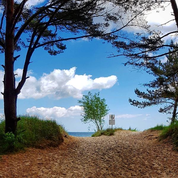 Insta-Foto aus 04.2216