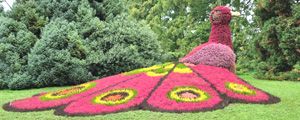 Insel Mainau