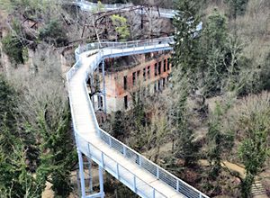 Baumkronenpfad Beelitz